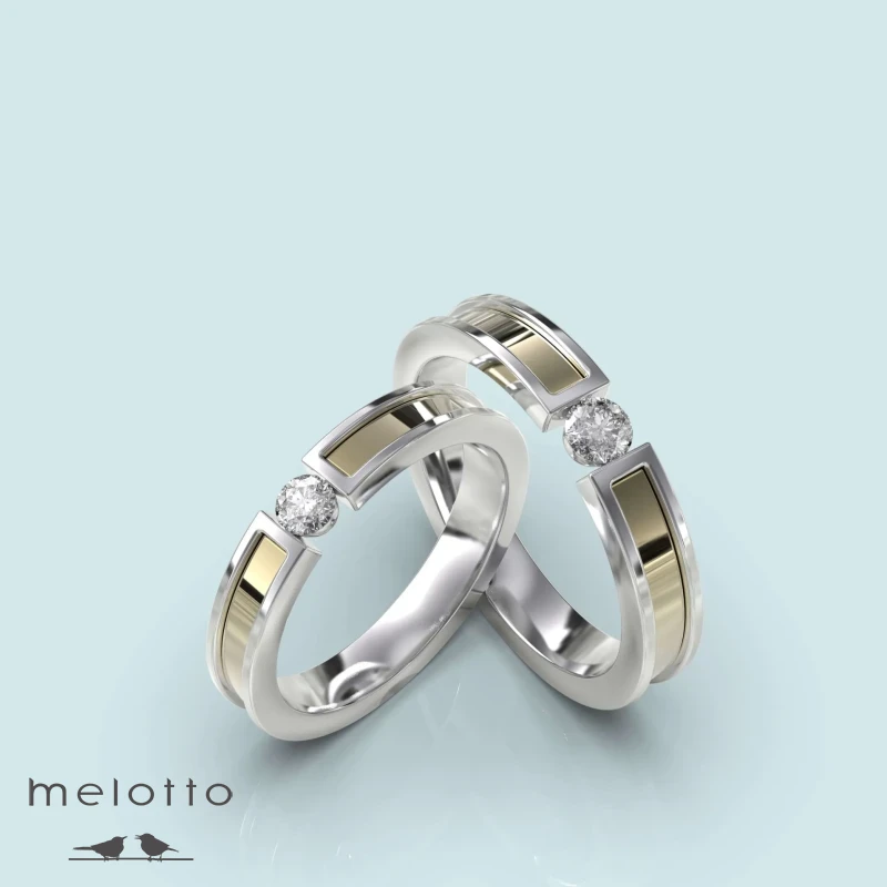 Современная обручальная пара колец